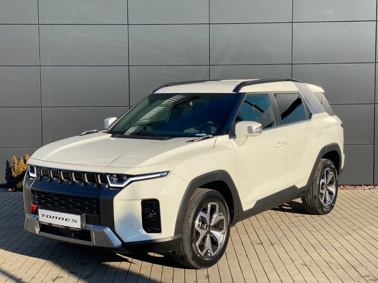 Torres WAA FWD AT 65548